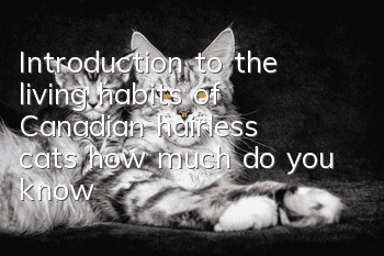 Introduction to the living habits of Canadian hairless cats, how much do you know?