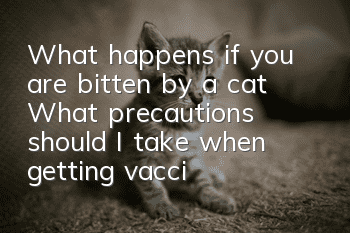 What happens if you are bitten by a cat? What precautions should I take when getting vaccinated after being bitten by a cat?