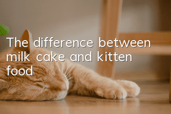 The difference between milk cake and kitten food