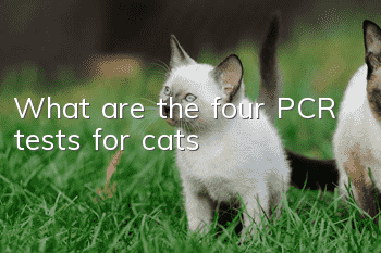 What are the four PCR tests for cats?