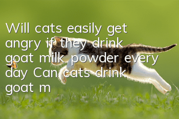 Will cats easily get angry if they drink goat milk powder every day? Can cats drink goat milk powder?