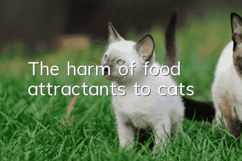 The harm of food attractants to cats