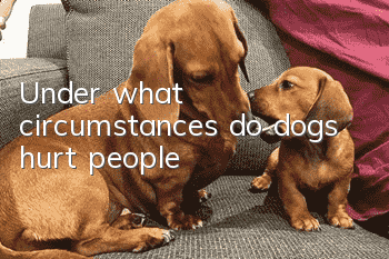 Under what circumstances do dogs hurt people?