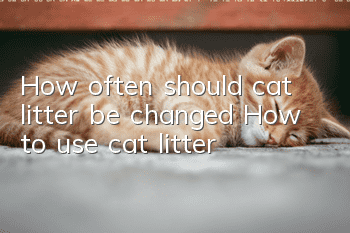 How often should cat litter be changed? How to use cat litter?