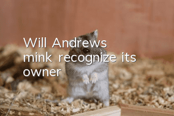 Will Andrew's mink recognize its owner?