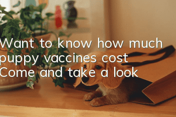 Want to know how much puppy vaccines cost? Come and take a look!