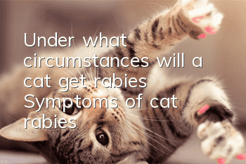 Under what circumstances will a cat get rabies? Symptoms of cat rabies!