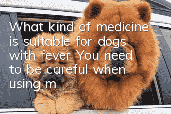 What kind of medicine is suitable for dogs with fever? You need to be careful when using medicine for pet dogs!