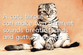 A cat's throat can make two different sounds: breath sounds and guttural sounds!