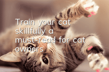 Train your cat skillfully, a must-read for cat owners!