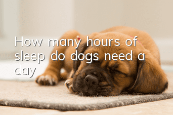 How many hours of sleep do dogs need a day?