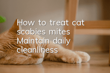 How to treat cat scabies mites? Maintain daily cleanliness