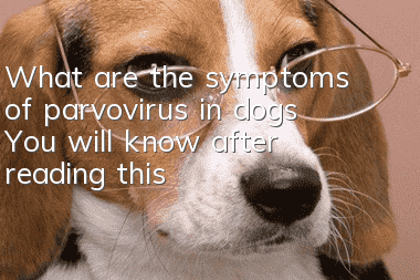 What are the symptoms of parvovirus in dogs? You will know after reading this!