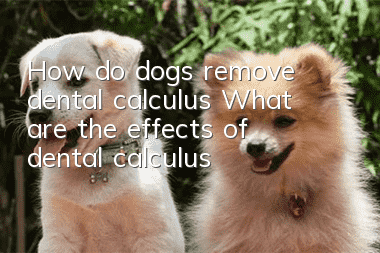 How do dogs remove dental calculus? What are the effects of “dental calculus”?