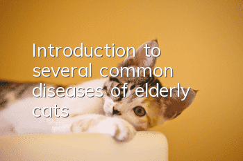 Introduction to several common diseases of elderly cats