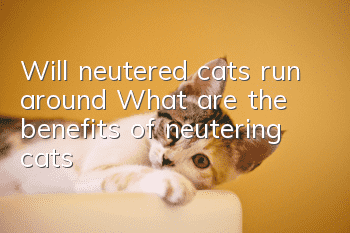 Will neutered cats run around? What are the benefits of neutering cats?