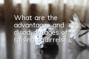 What are the advantages and disadvantages of raising squirrels?