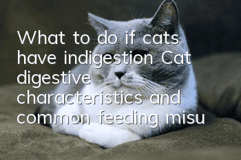 What to do if cats have indigestion? Cat digestive characteristics and common feeding misunderstandings!