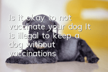 Is it okay to not vaccinate your dog? It is illegal to keep a dog without vaccinations!