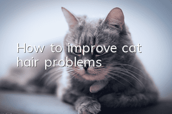 How to improve cat hair problems?