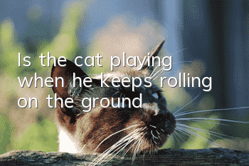 Is the cat playing when he keeps rolling on the ground?