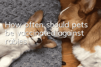 How often should pets be vaccinated against rabies?