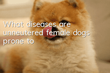 What diseases are unneutered female dogs prone to?