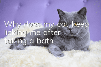 Why does my cat keep licking me after taking a bath?