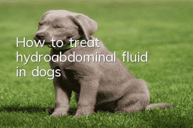 How to treat hydroabdominal fluid in dogs?