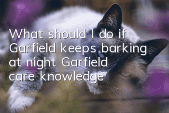 What should I do if Garfield keeps barking at night? Garfield care knowledge!