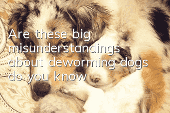 Are these big misunderstandings about deworming dogs, do you know?