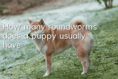 How many roundworms does a puppy usually have?