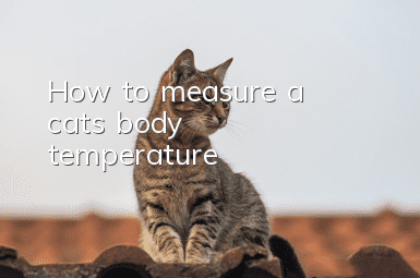 How to measure a cat’s body temperature