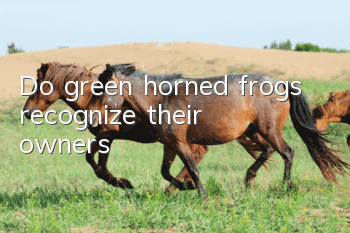 Do green horned frogs recognize their owners?