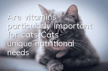 Are vitamins particularly important for cats? Cats’ unique nutritional needs!