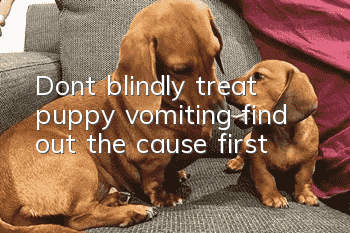 Don’t blindly treat puppy vomiting, find out the cause first