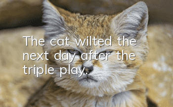 The cat wilted the next day after the triple play.