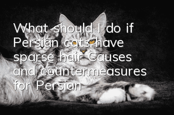 What should I do if Persian cats have sparse hair? Causes and countermeasures for Persian cats losing hair!