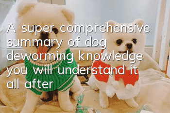 A super comprehensive summary of dog deworming knowledge, you will understand it all after reading this article!