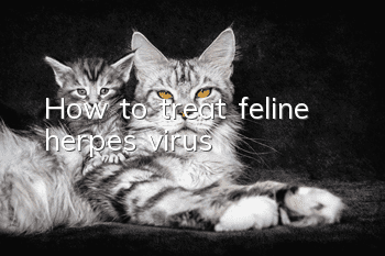 How to treat feline herpes virus