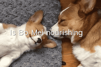 Is Bo Mei nourishing?