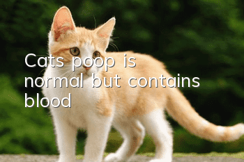 Cat's poop is normal but contains blood