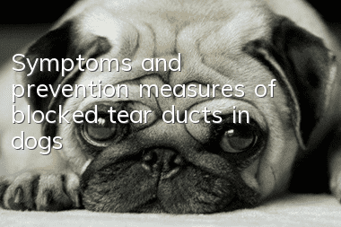 Symptoms and prevention measures of blocked tear ducts in dogs