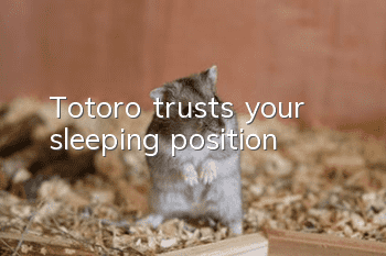 Totoro trusts your sleeping position