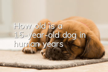 How old is a 15-year-old dog in human years?