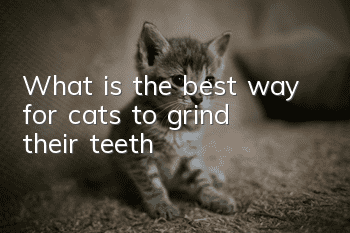 What is the best way for cats to grind their teeth?