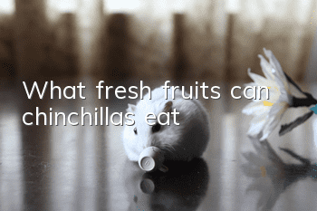 What fresh fruits can chinchillas eat?