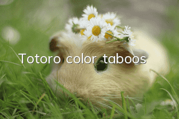 Totoro color taboos