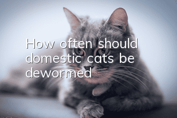 How often should domestic cats be dewormed?