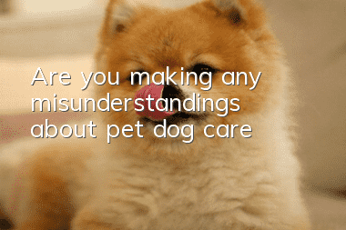 Are you making any misunderstandings about pet dog care?